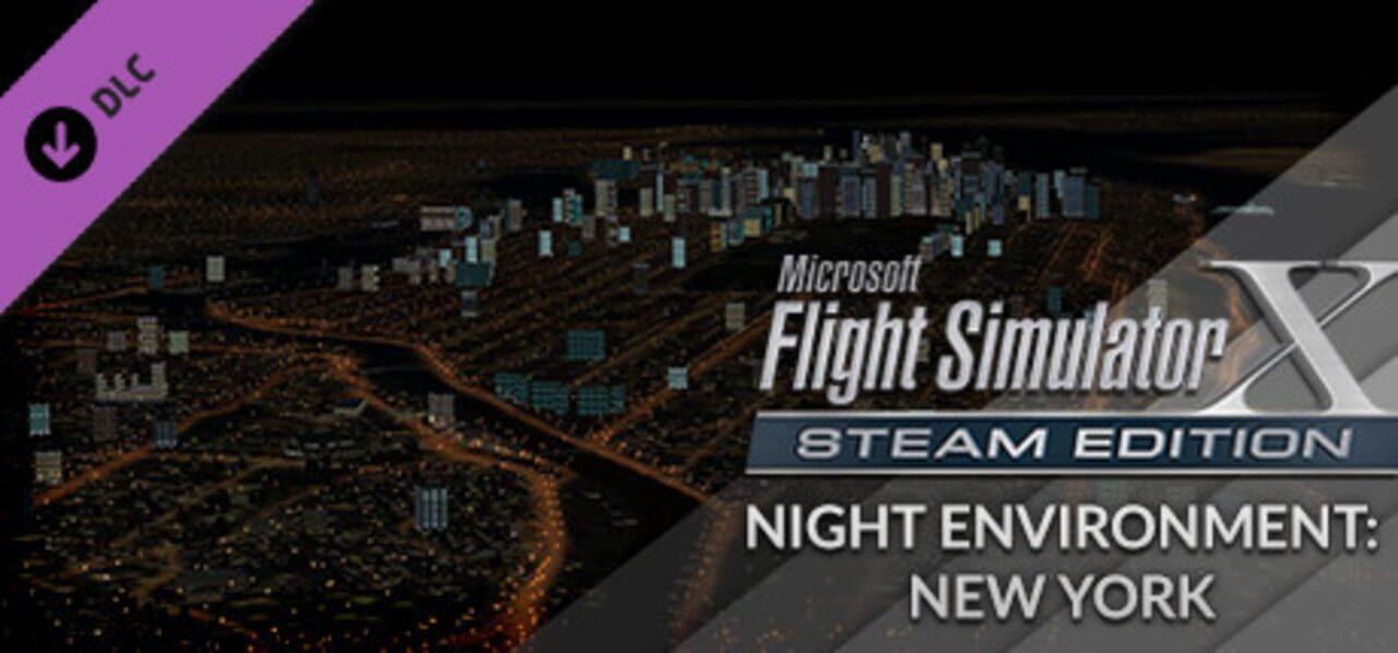 FSX Steam Edition: Night Environment: New York Add-On